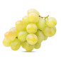 RAISIN BLANC VICTORIA 5KG